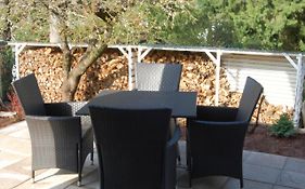 Wohnung Mit Kamin Terrasse Und Grill In Der Naehe Von Nuernberg